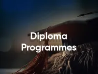 diploma programmes